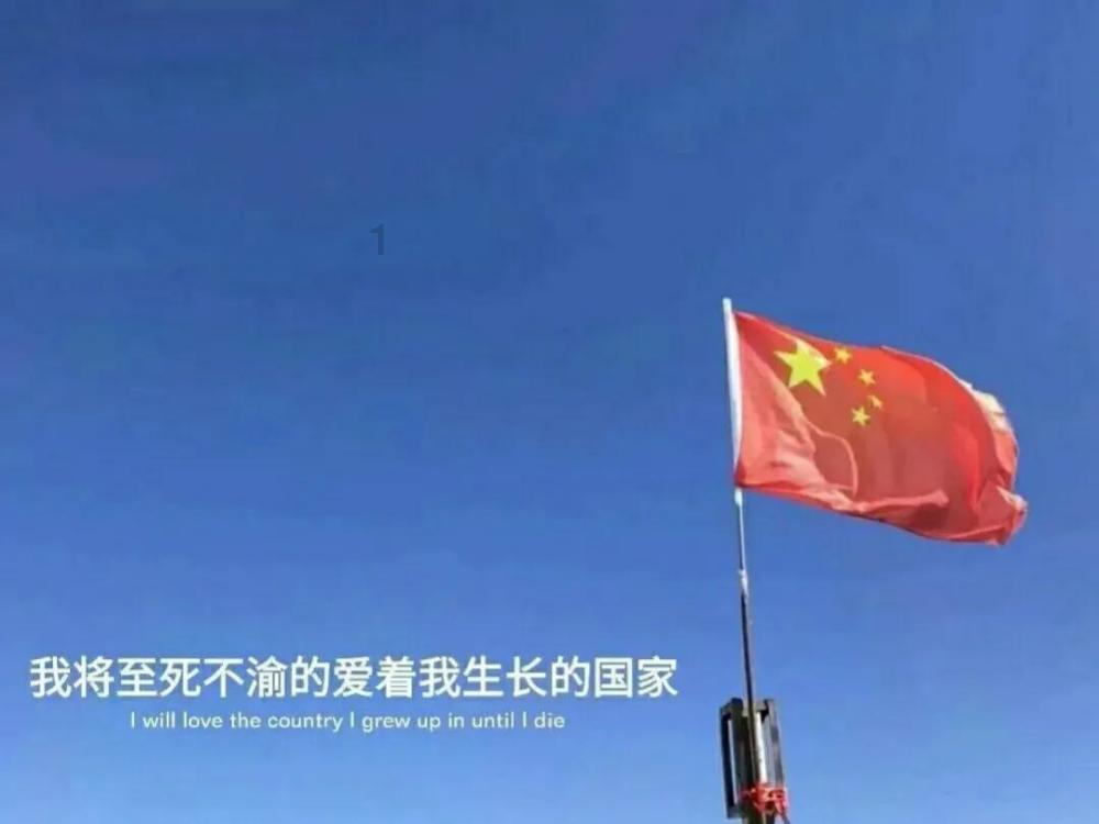 深度解读这是什么?长的满树都是?知识星球,打造专属知识圈子